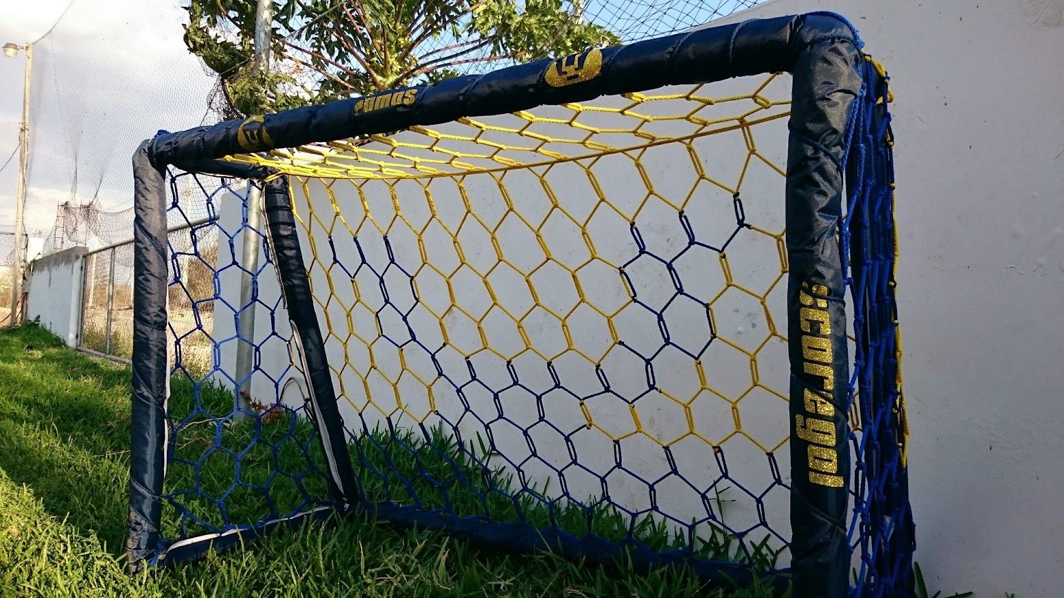 porteria infantil pumas UNAM