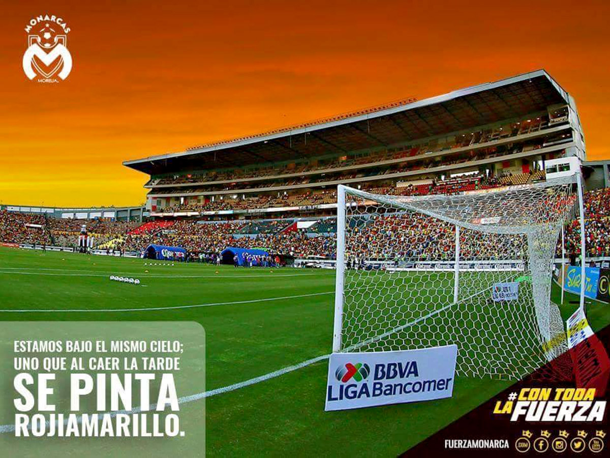 Galería Redes para porterias profesionales