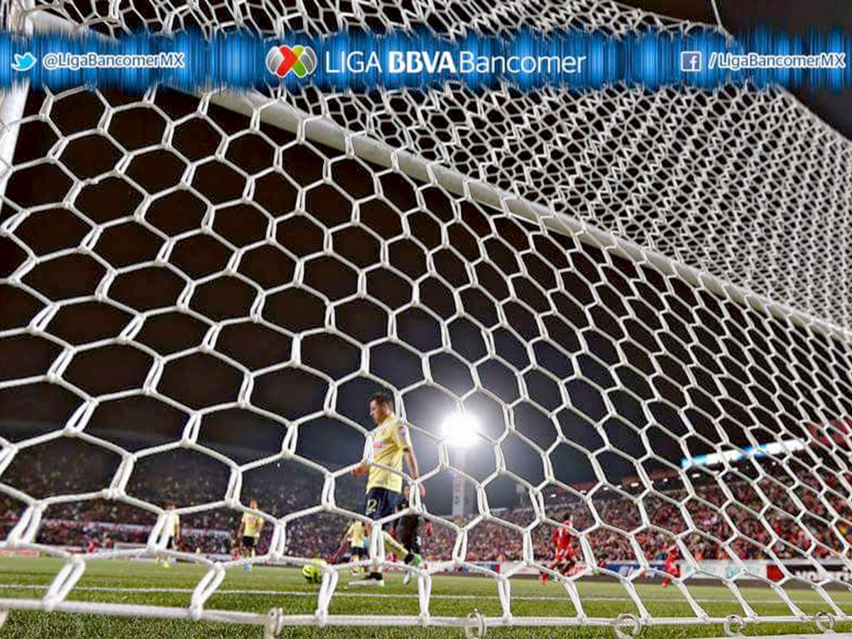 redes-porterias-profesionales