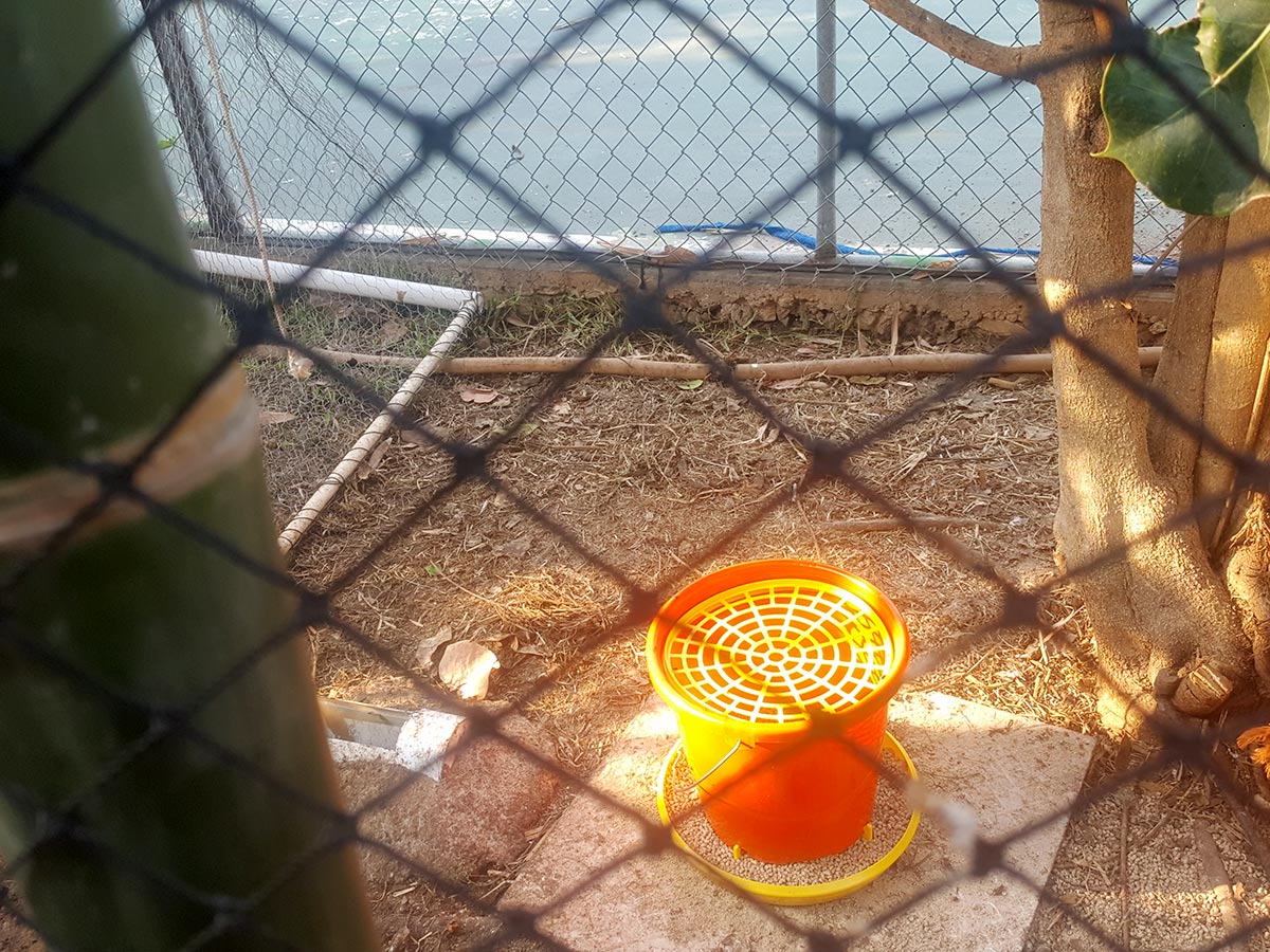 Galería Mallas avicolas