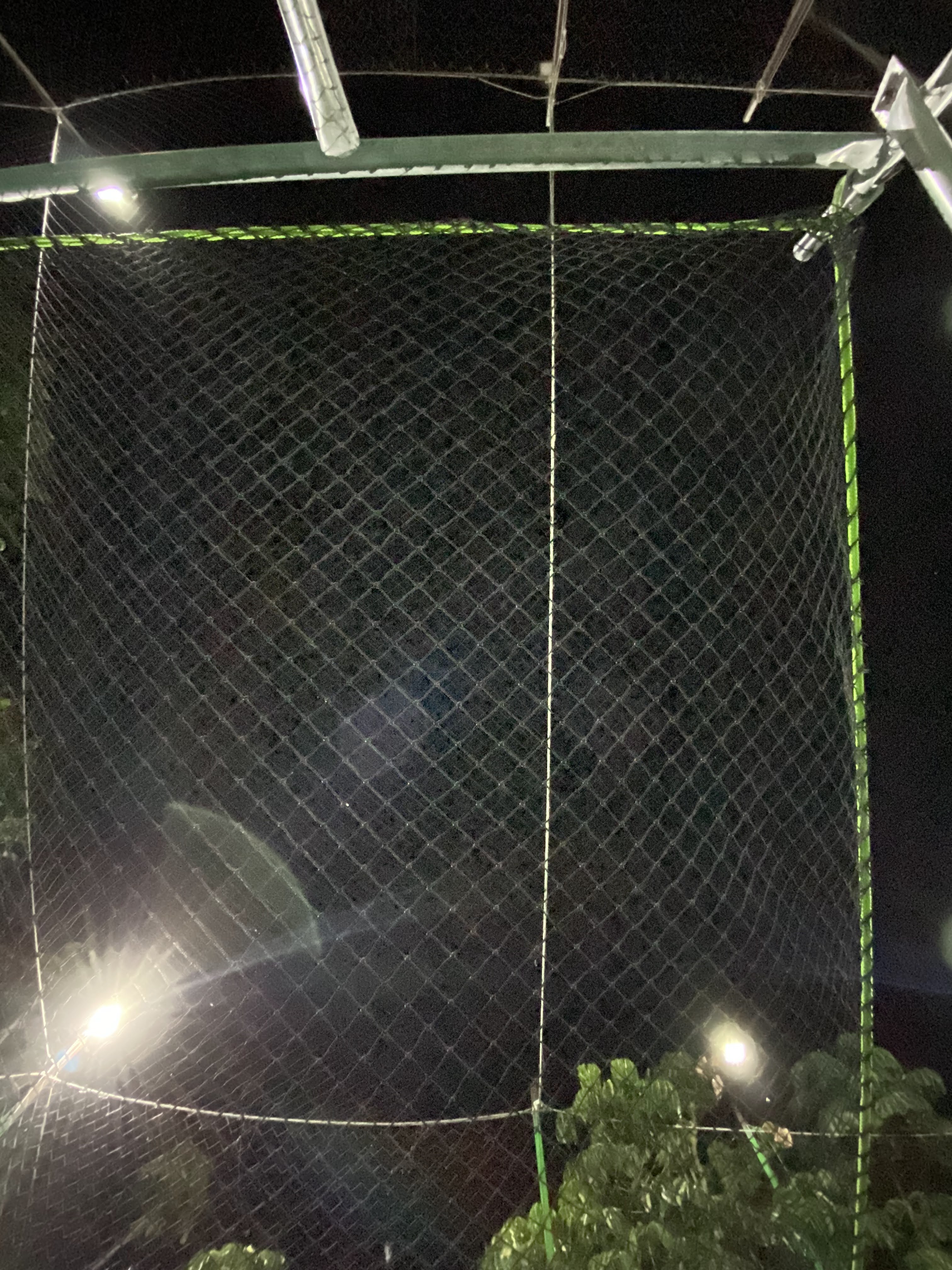 Cama-de-red-anticaidas-10-m-x-10-m